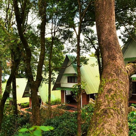 Misty Woods Resort Kakkabe Екстериор снимка